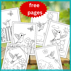 Hummingbird coloring pages